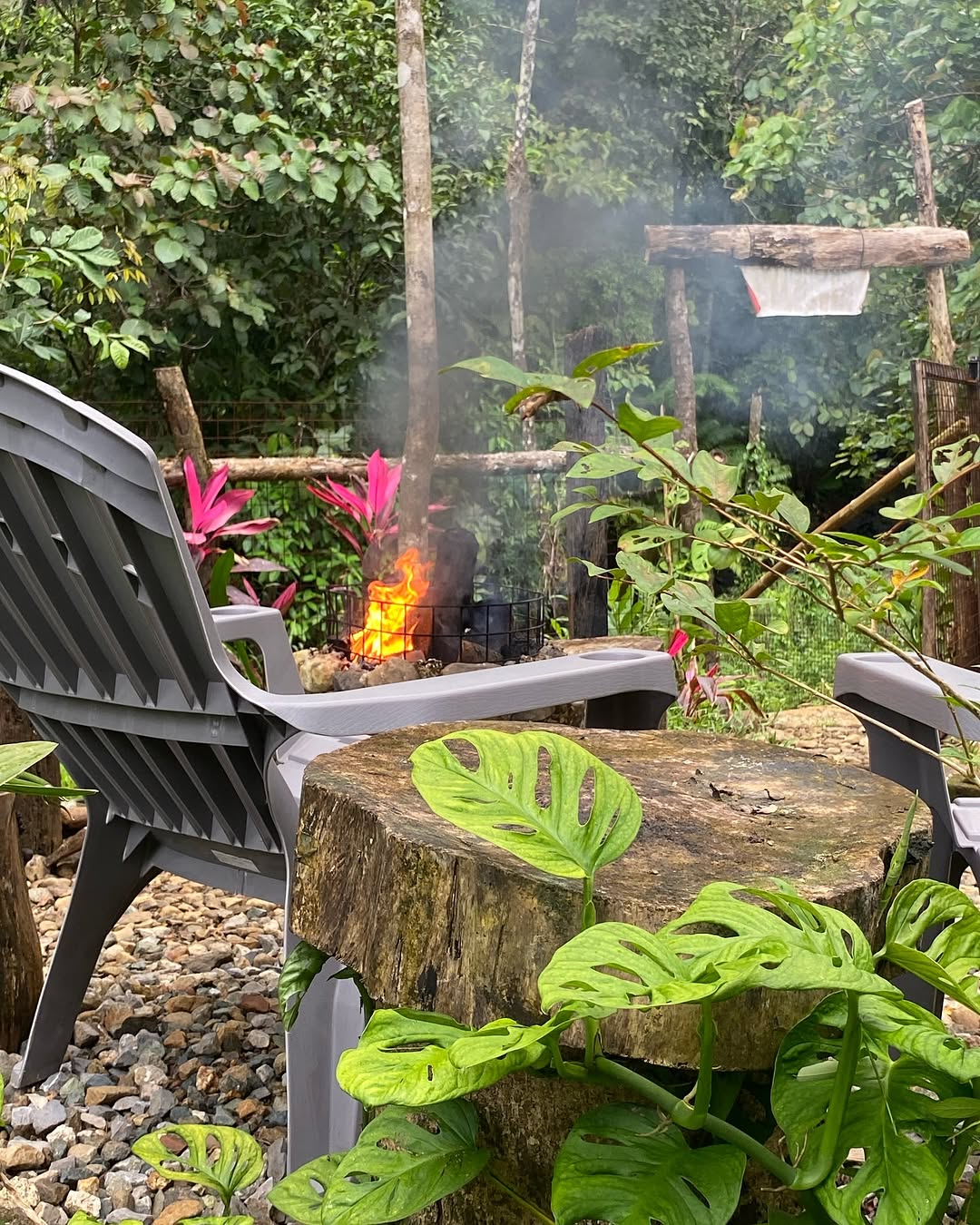 Fire pit in the garden surrounded by tropical plants