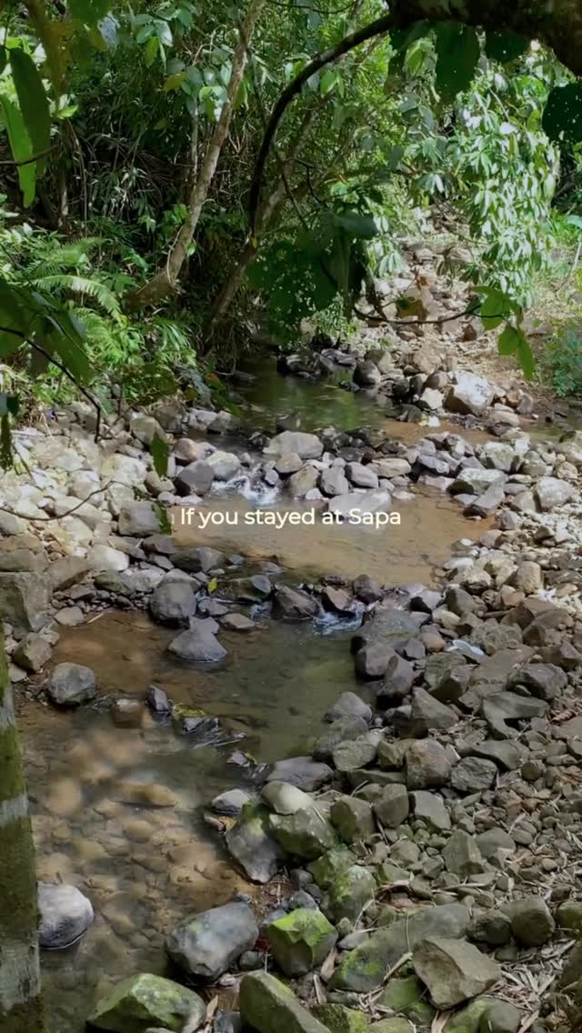 Natural sapa creek with jungle greenery at Sapa de la Belle